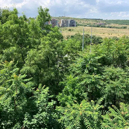 Apartament شقة *